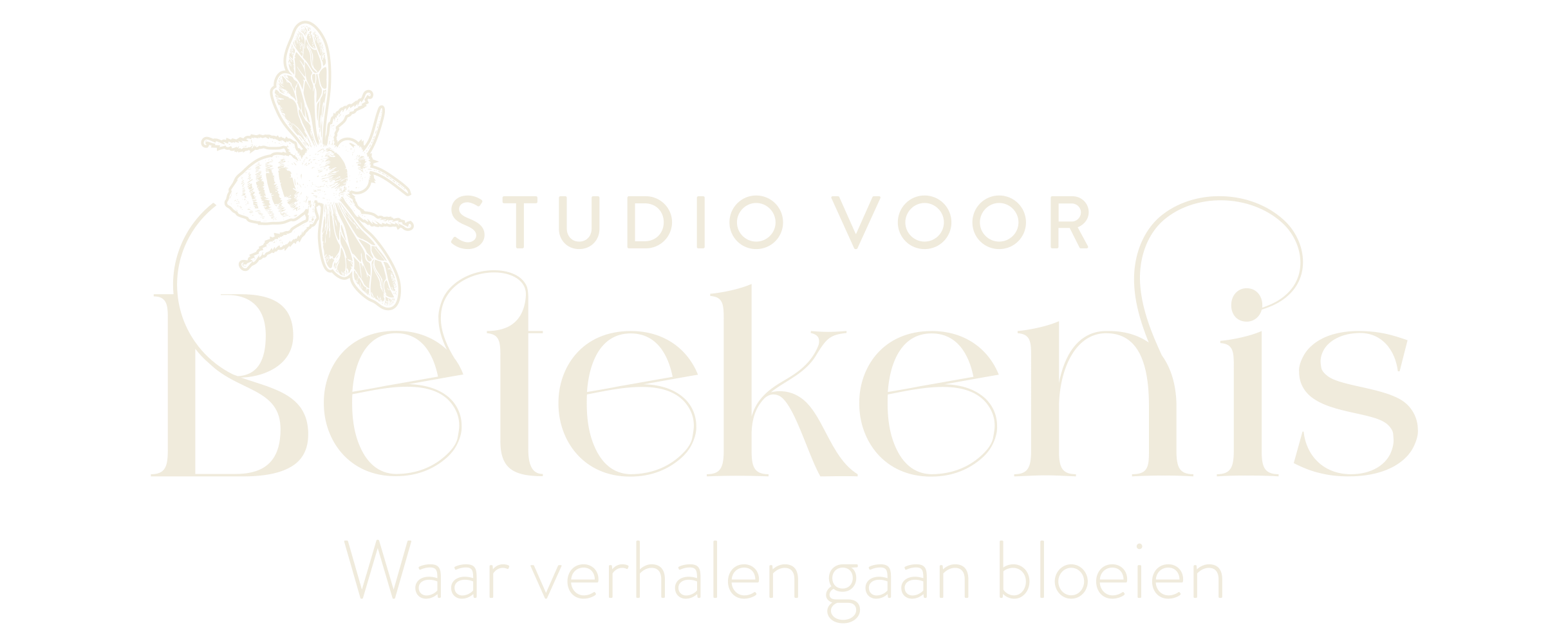 Studio voor Betekenis